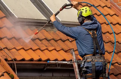 Démoussage et hydrofuge de toiture à Barjouville